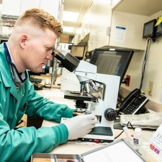 Employee working in Lab