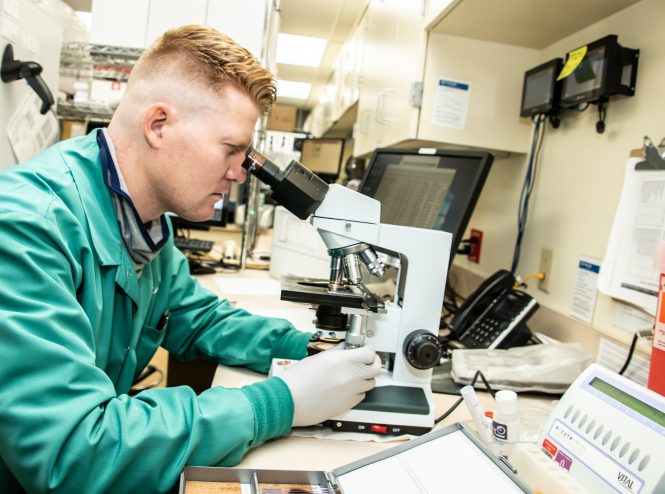 Employee working in Lab